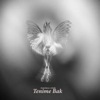 Tenime Bak
