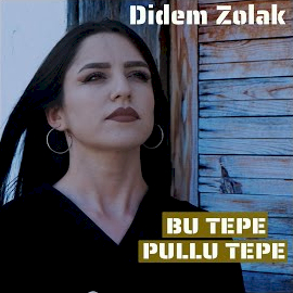 Bu Tepe Pullu Tepe