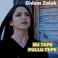 Bu Tepe Pullu Tepe