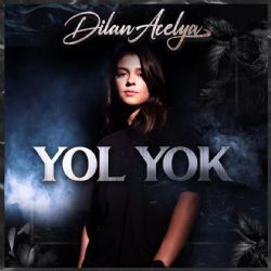 Yol Yok