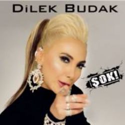 Şok