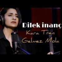 Kara Tren Gelmez Mola