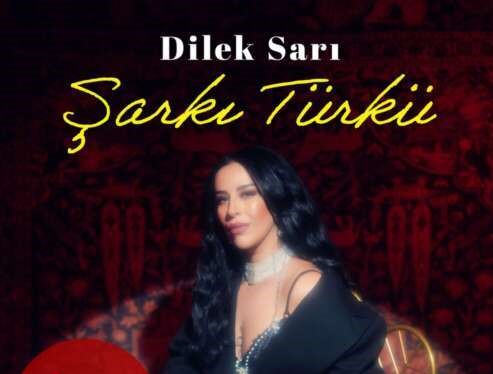 Şarkı Türkü
