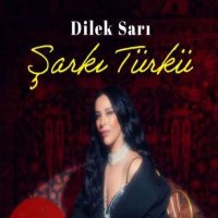 Şarkı Türkü