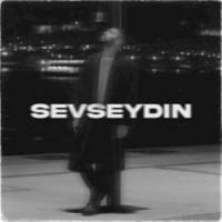Sevseydin