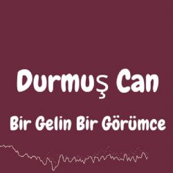 Bir Gelin Bir Görümce