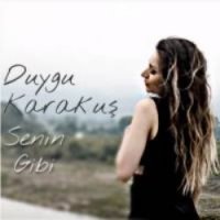 Senin Gibi