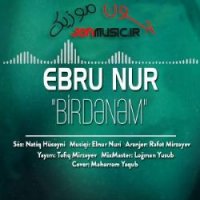 Birdenem