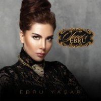 Sanatı Ebru