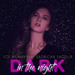 Dark In The Night