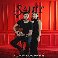 Şahit