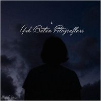 Yak Bütün Fotoğrafları