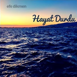 Hayat Durdu