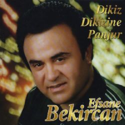 Dikiz Dikizine Panjur