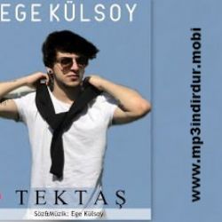 Tektaş