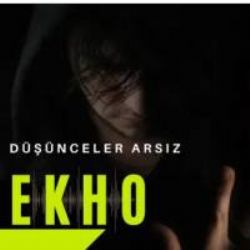 Düşünceler Arsız