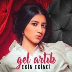 Gel Artık