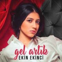 Gel Artık