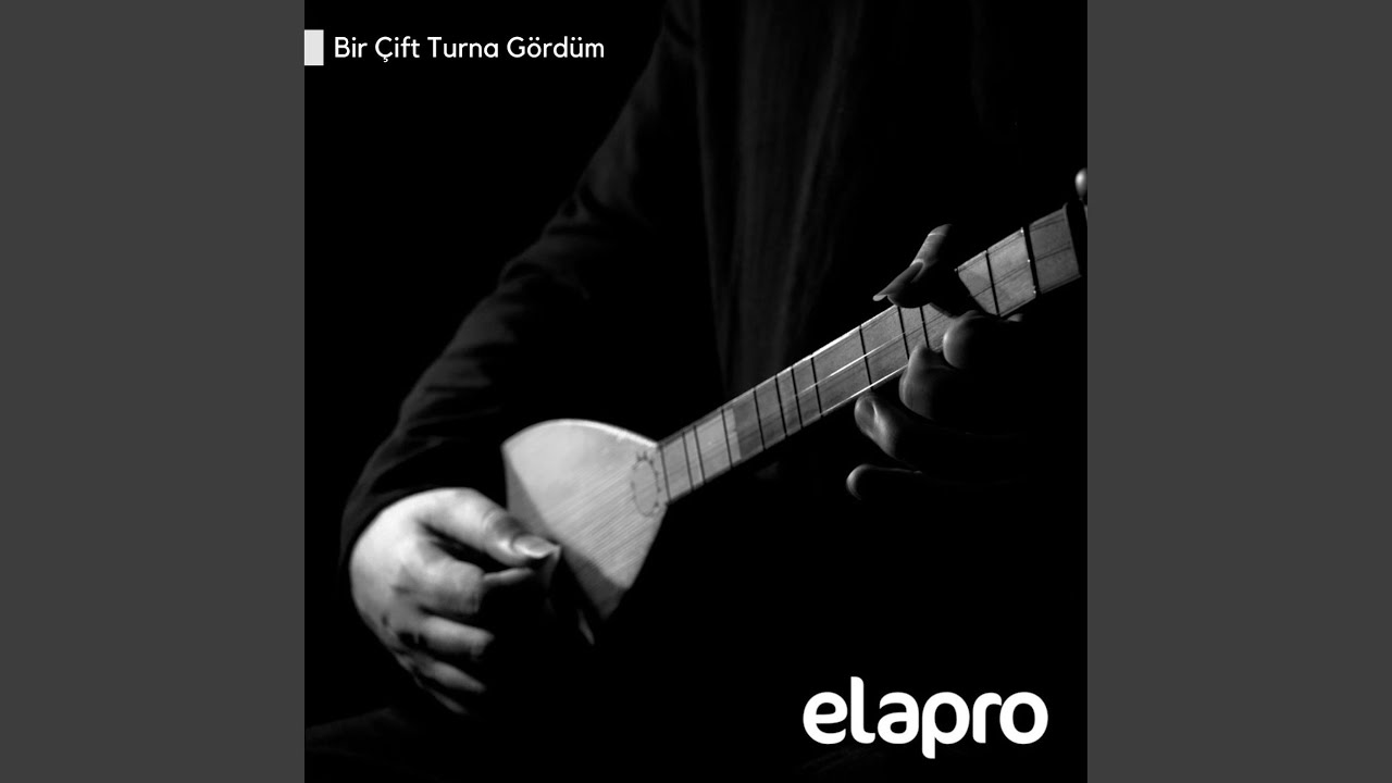 Bir Çift Turna Gördüm