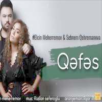 Qefes