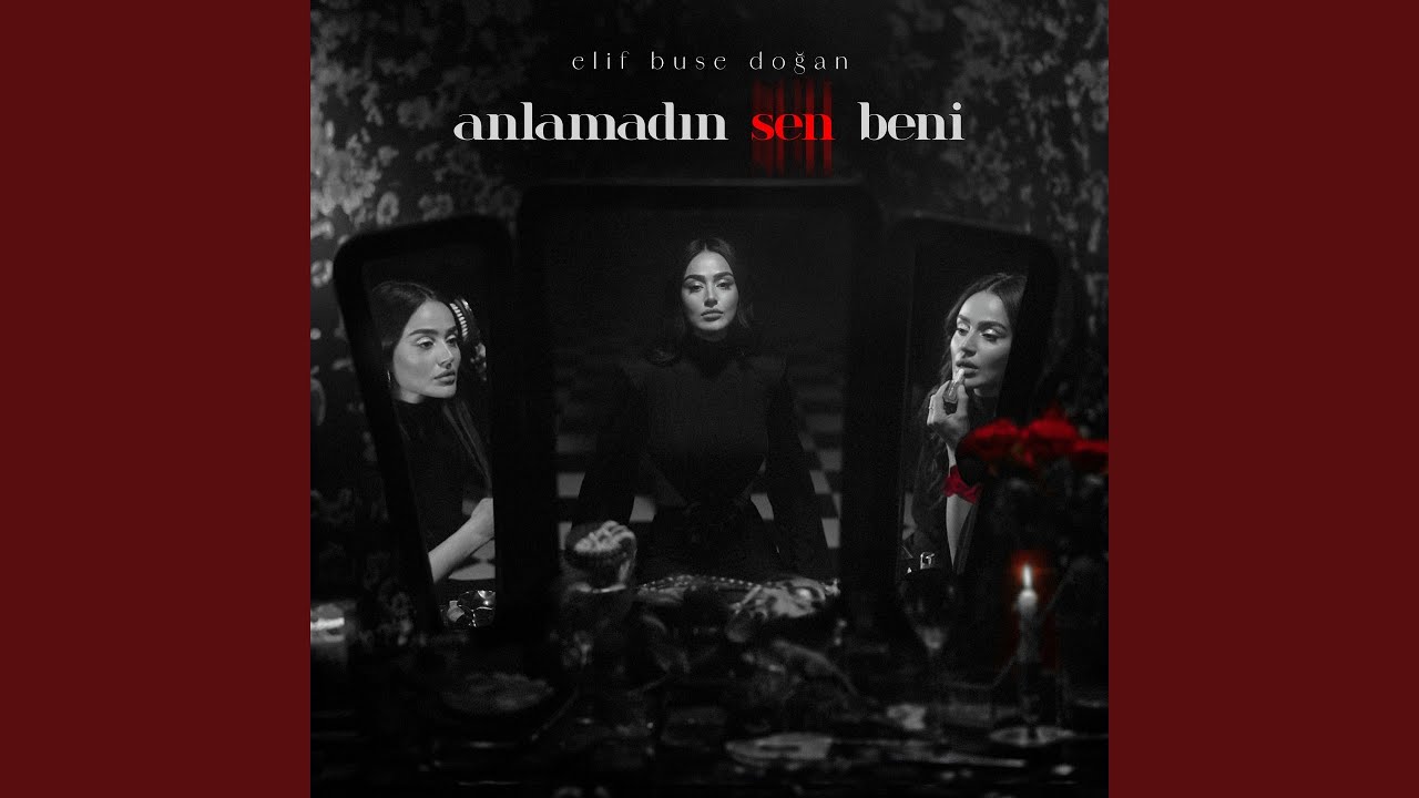 Anlamadın Sen Beni