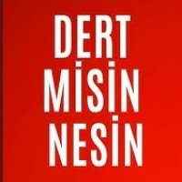 Dertmisin Nesin
