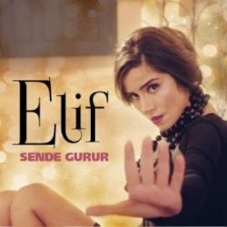 Sende Gurur