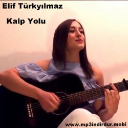 Kalp Yolu