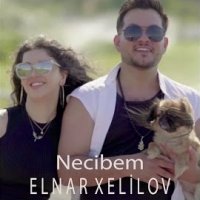 Necibem