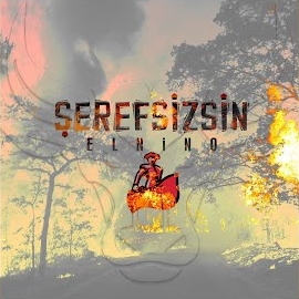 Şerefsizsin