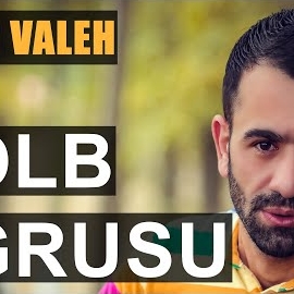 Qelb Oğrusu