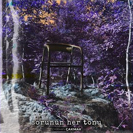 Sorunun Her Tonu