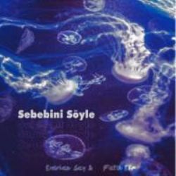 Sebebini Söyle