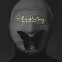 Schmetterling