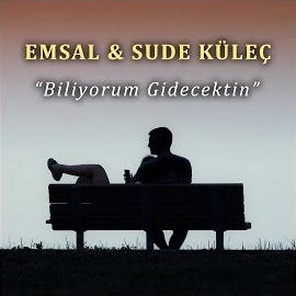 Biliyorum Gidecektim