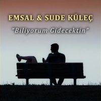 Biliyorum Gidecektim