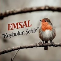 Kaybolan Şehir