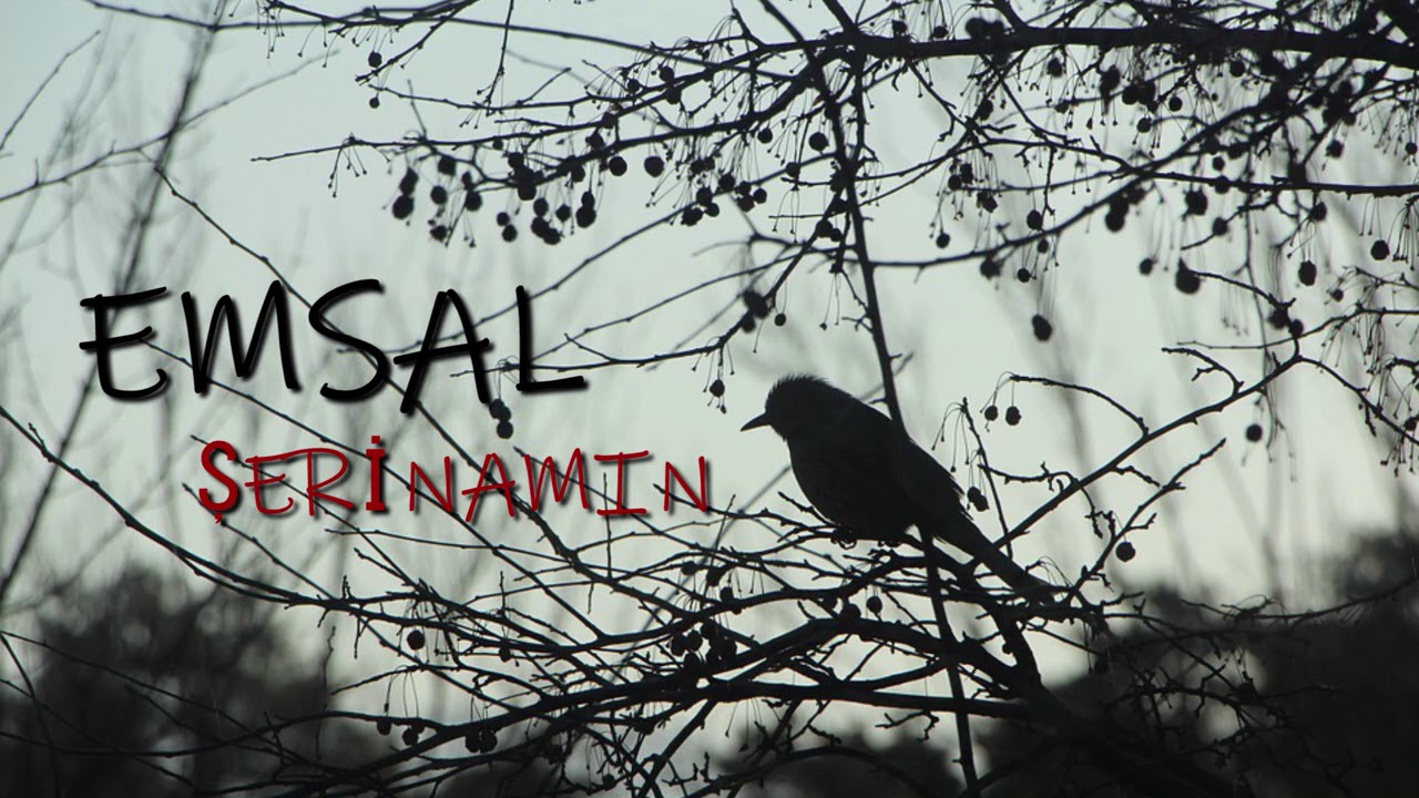 Şerinamın