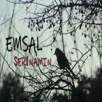 Şerinamın
