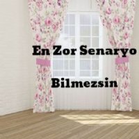 Bilmezsin