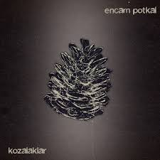 Kozalaklar