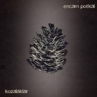 Kozalaklar