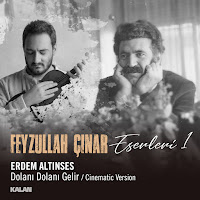 Dolanı Dolanı Gelir Feyzullah Çınar Eserleri 1