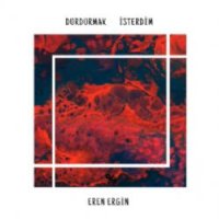 Durdurmak İsterdim
