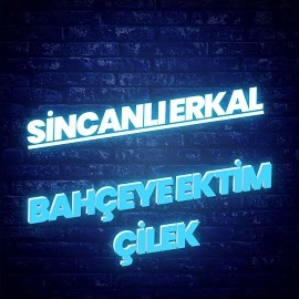 Bahçeye Ektim Çilek