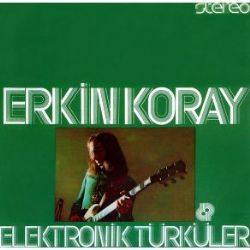 Elektronik Türküler