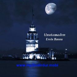 Ben Seni Bir Türlü Unutamadım