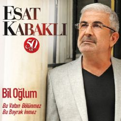 Bu Vatan Bölünmez Bu Bayrak İnmez