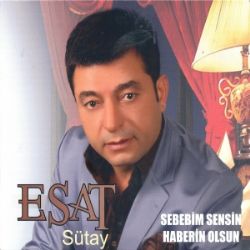 Sebebim Sensin