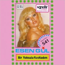 Bir Yoksula Rastladım